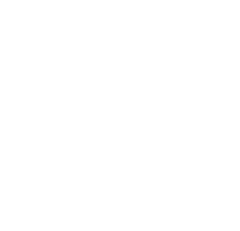 Icon network