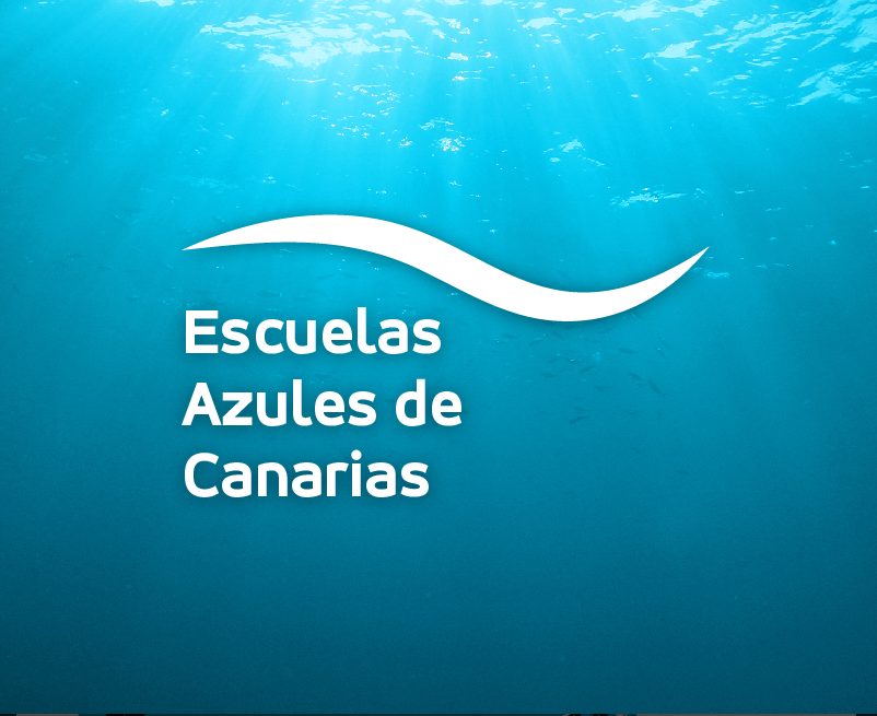 "Descubriendo la Riqueza del Océano de Ideas: Canary Islands Business School y el Blue Challenge"