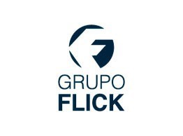 Grupo Flick
